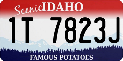 ID license plate 1T7823J
