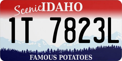 ID license plate 1T7823L