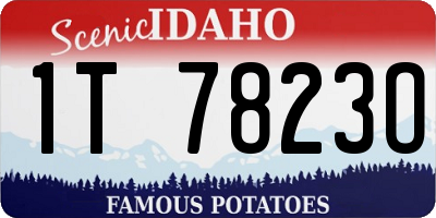 ID license plate 1T7823O