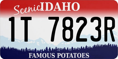 ID license plate 1T7823R