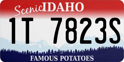 ID license plate 1T7823S