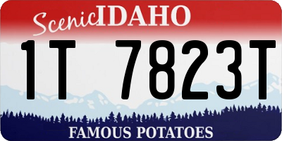 ID license plate 1T7823T