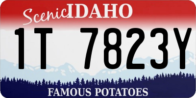 ID license plate 1T7823Y