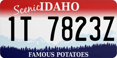 ID license plate 1T7823Z