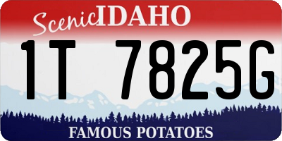 ID license plate 1T7825G