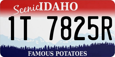 ID license plate 1T7825R