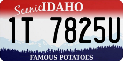 ID license plate 1T7825U