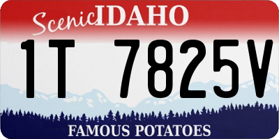 ID license plate 1T7825V