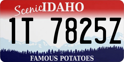 ID license plate 1T7825Z