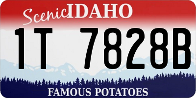 ID license plate 1T7828B