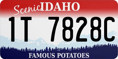ID license plate 1T7828C