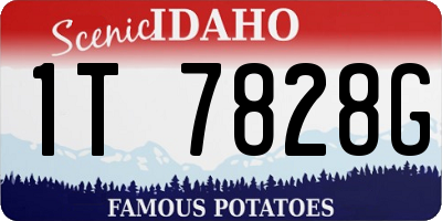 ID license plate 1T7828G