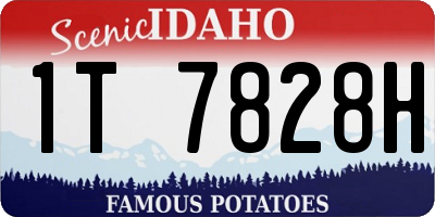 ID license plate 1T7828H