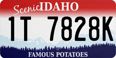 ID license plate 1T7828K