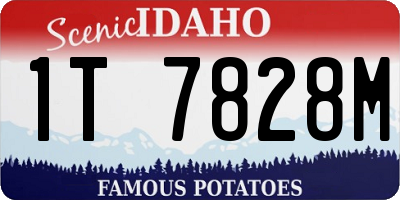 ID license plate 1T7828M