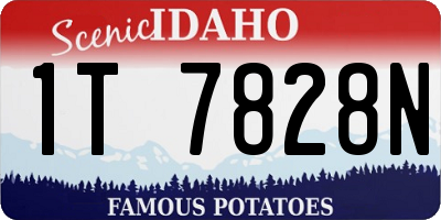 ID license plate 1T7828N