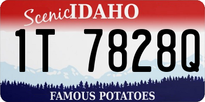 ID license plate 1T7828Q