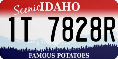 ID license plate 1T7828R