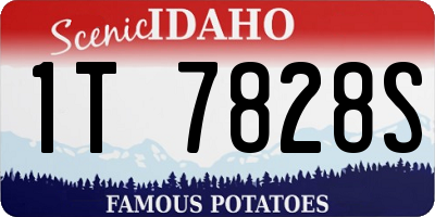 ID license plate 1T7828S