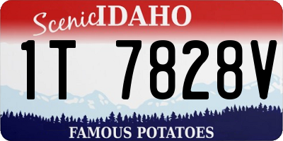 ID license plate 1T7828V