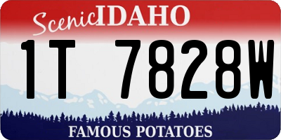 ID license plate 1T7828W