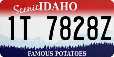 ID license plate 1T7828Z