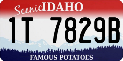 ID license plate 1T7829B