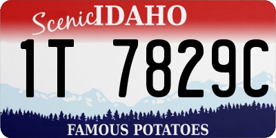 ID license plate 1T7829C
