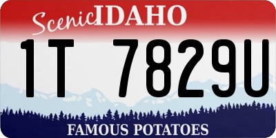 ID license plate 1T7829U