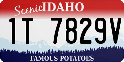 ID license plate 1T7829V