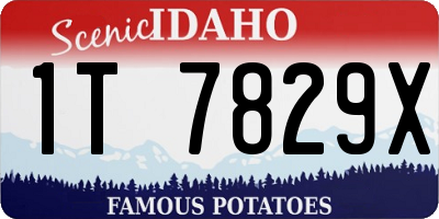 ID license plate 1T7829X