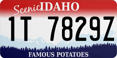 ID license plate 1T7829Z