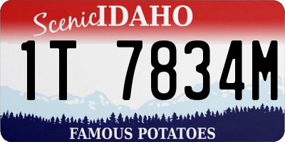 ID license plate 1T7834M