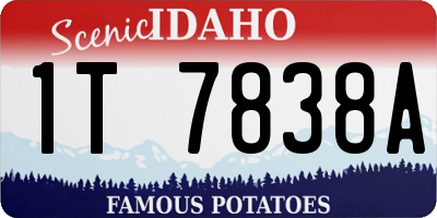 ID license plate 1T7838A
