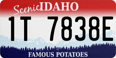 ID license plate 1T7838E