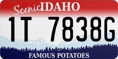 ID license plate 1T7838G