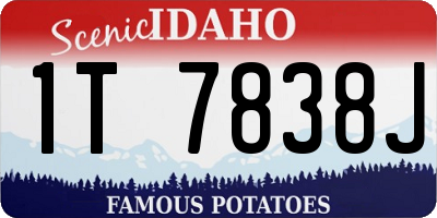 ID license plate 1T7838J
