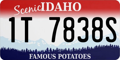 ID license plate 1T7838S