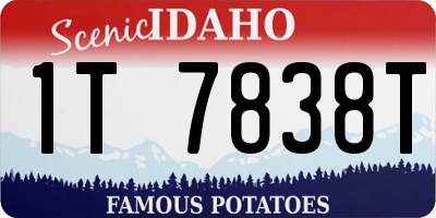 ID license plate 1T7838T