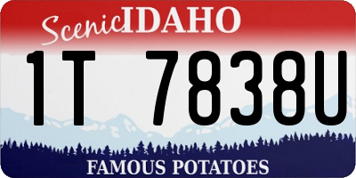 ID license plate 1T7838U