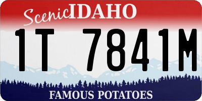 ID license plate 1T7841M