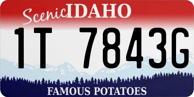 ID license plate 1T7843G