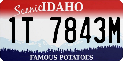 ID license plate 1T7843M