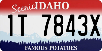 ID license plate 1T7843X