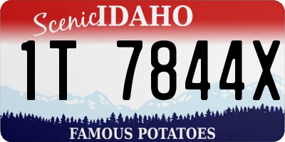 ID license plate 1T7844X