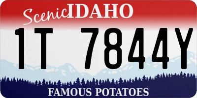 ID license plate 1T7844Y