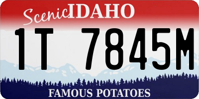 ID license plate 1T7845M