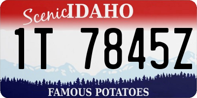 ID license plate 1T7845Z