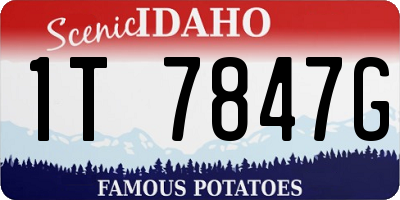 ID license plate 1T7847G