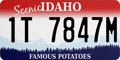 ID license plate 1T7847M